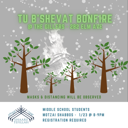Banner Image for Middle School Tu B'Shvat Bonfire - Celebrating Trees!